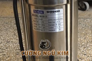 BƠM CHÌM NƯỚC THẢI SHINHOO 1.5HP QB-26-1.5 220V 
