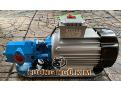 MÁY BƠM HÚT NHỚT ĐẶC CHẠY ĐIỆN YY8022 220V