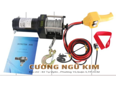 TỜI ĐIỆN CỨU HỘ DÙNG BÌNH ẮC QUY 12V-24V 3000LBS