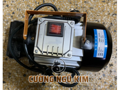 MÁY BƠM HÚT NHỚT ĐẶC CHẠY ĐIỆN 220V