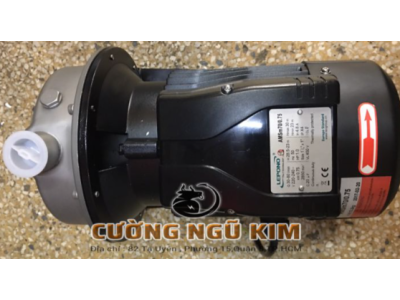 MÁY BƠM NƯỚC LY TÂM TRỤC NGANG ĐẦU INOX 1HP LEPONO AMSM70/0.75W