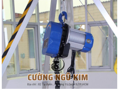 PALANG XÍCH ĐIỆN DHS 3 TẤN 220V