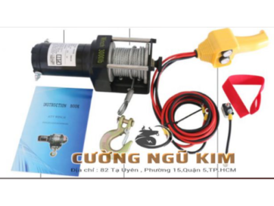 TỜI ĐIỆN CỨU HỘ DÙNG BÌNH ẮC QUY 12V-24V 3000LBS