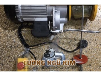 TỜI ĐIỆN TREO MINI PA1000 500KG