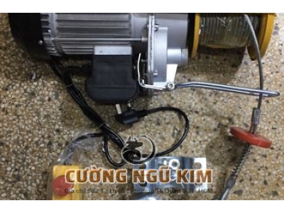 TỜI ĐIỆN TREO MINI PA1200 600KG